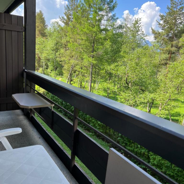 Appartementhaus Birkenwald - Apartment mit Balkon - 1