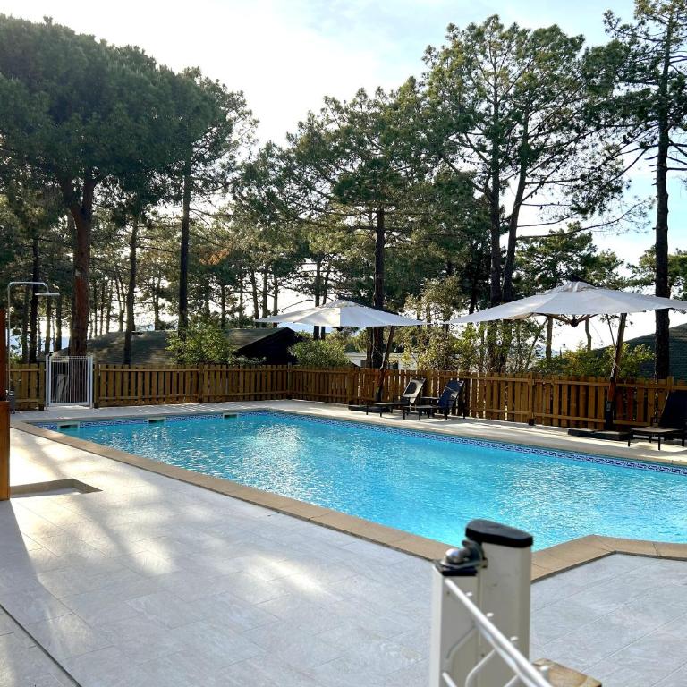 Résidence Tramariccia - Bungalow (2 Adultes + 1 Enfant) - 1