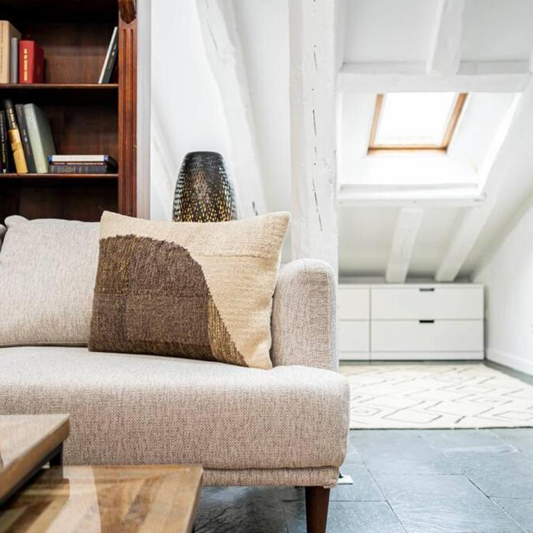 Beautiful central attic-Malasaña-Gran Vía-FUEN42 - One-Bedroom Apartment - 24
