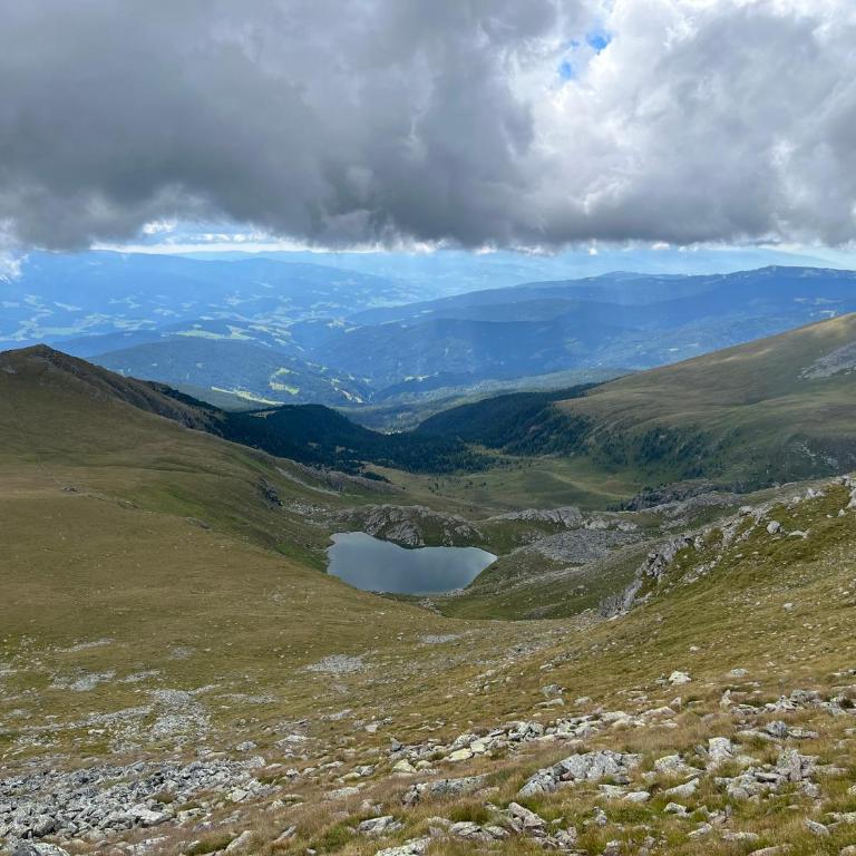 Zirbitz Hütte am Waldrand - Sauna, Kamin, Feuerstelle, Ausblick - Maison 3 Chambres - 18