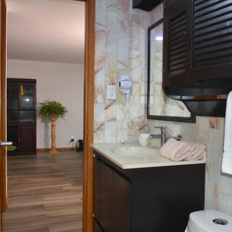 Departamento Aurora - Amplio Departamento Completo en Zona muy Tranquila de CDMX - One-Bedroom Apartment - 21