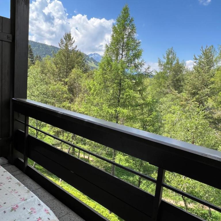 Appartementhaus Birkenwald - Apartment mit Balkon - 2