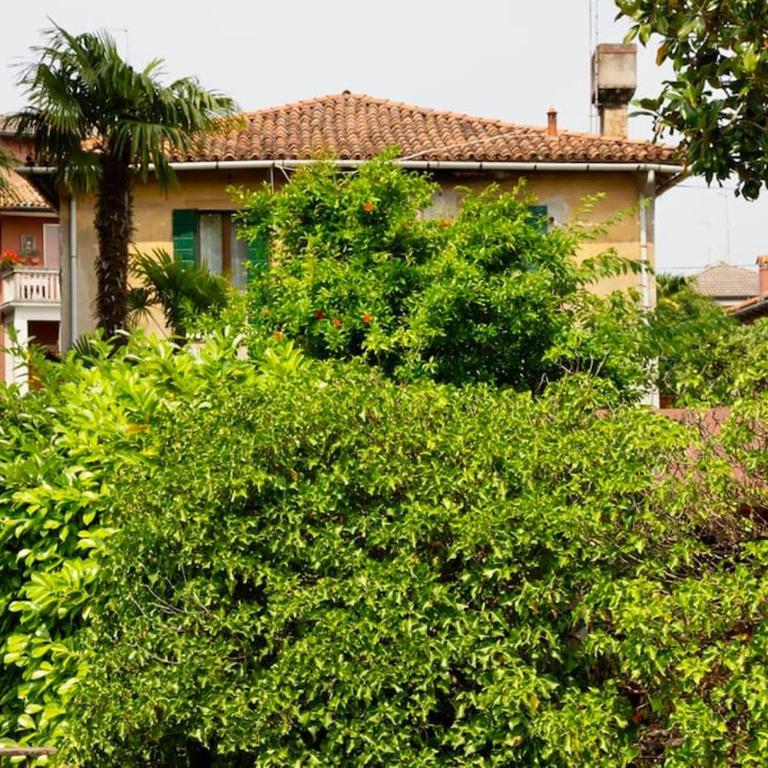 Isola del Lido, Luminoso, immerso nel verde, per 5 - Appartement 2 Chambres - 35
