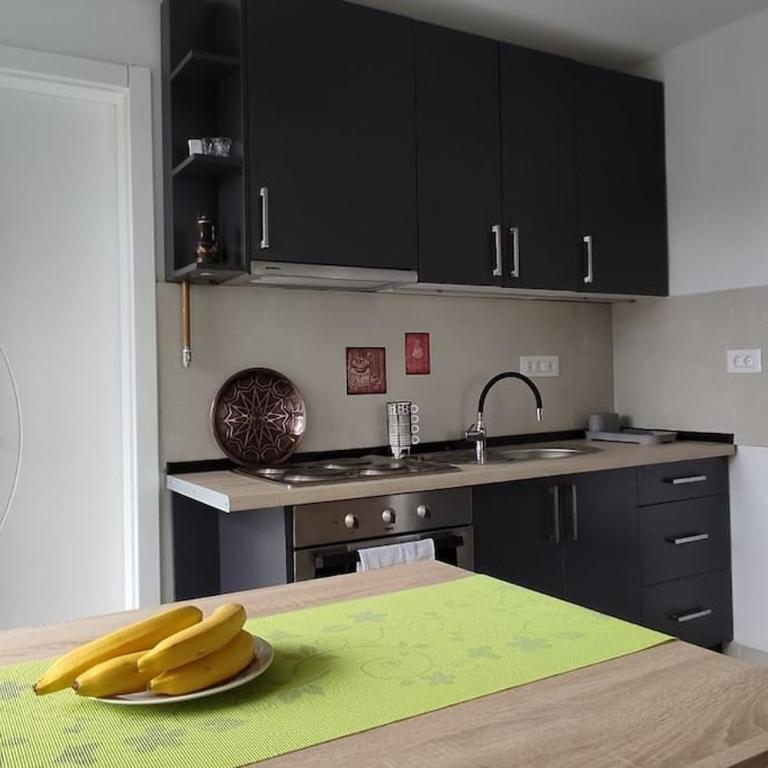 Visnjik Vintage - Apartman sa 2 Spavaće Sobe i Balkonom - 7