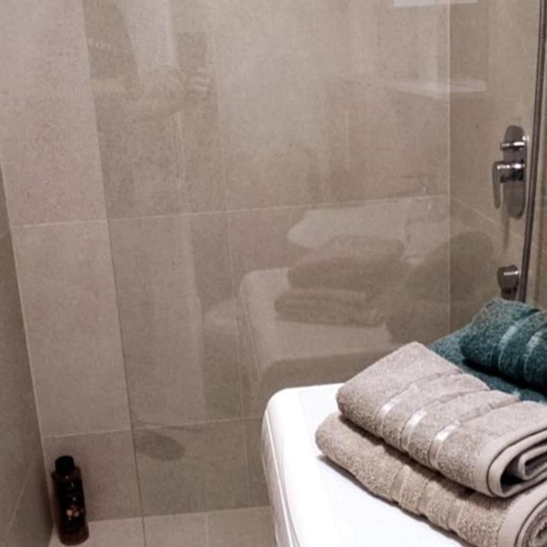 Visnjik Vintage - Apartman sa 2 Spavaće Sobe i Balkonom - 17