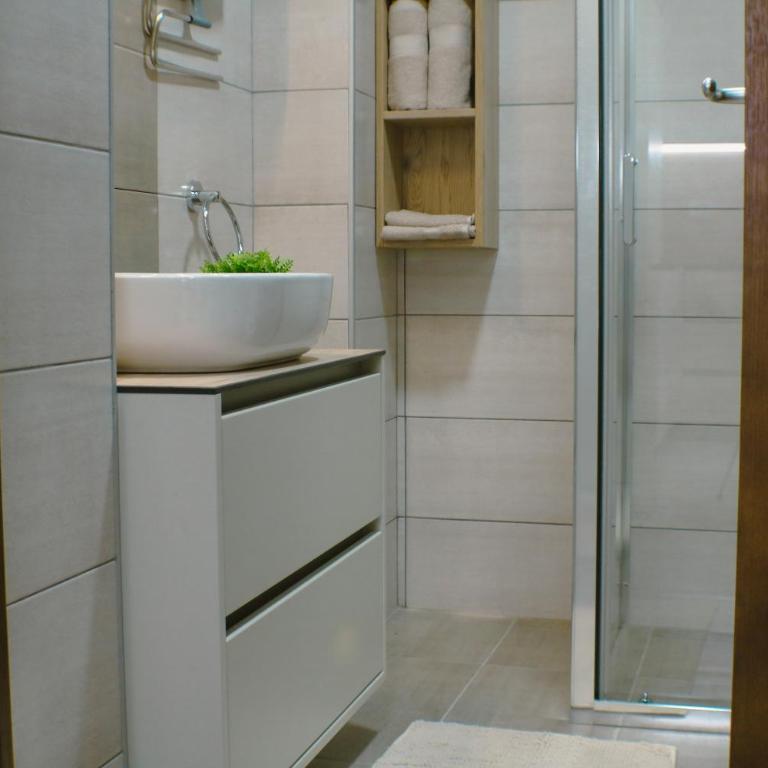 apartman gold Jagodina - Apartman sa 1 Spavaćom Sobom - 8