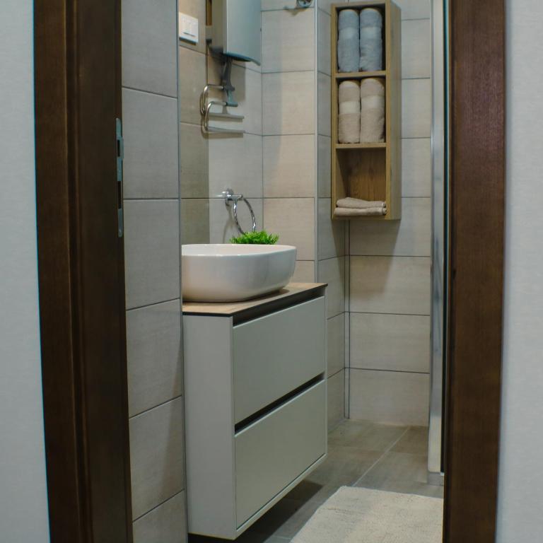 apartman gold Jagodina - Apartman sa 1 Spavaćom Sobom - 13