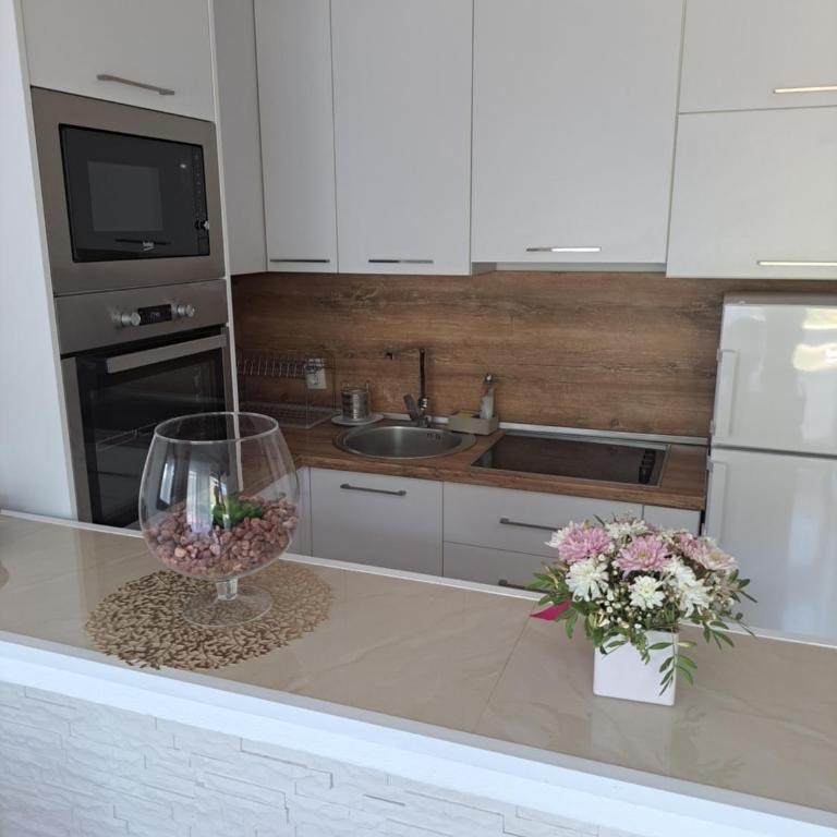 Apartments Pepdjonovic - Apartman sa 2 Spavaće Sobe - 51
