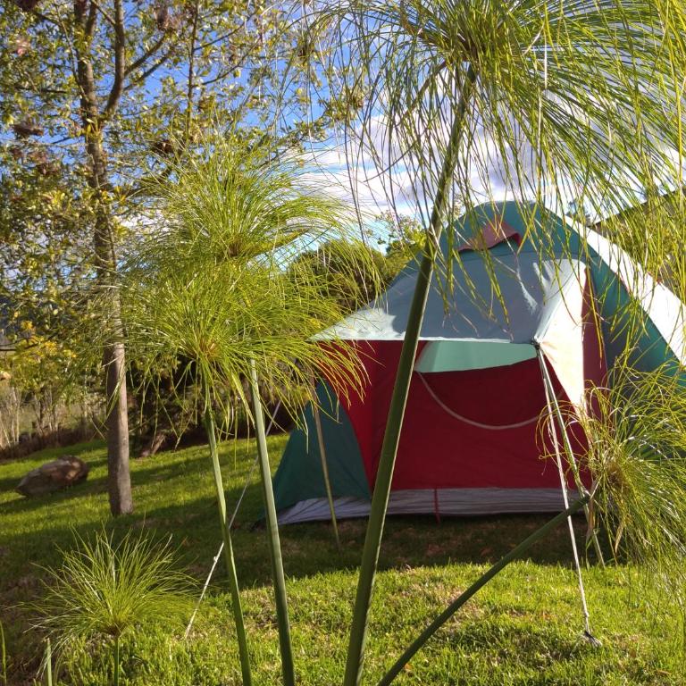 Iwoka Ecoturismo - Tent - 4