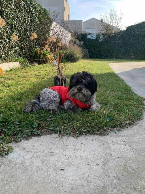 PataGo! Sea&Sand - Three-Bedroom House - 34