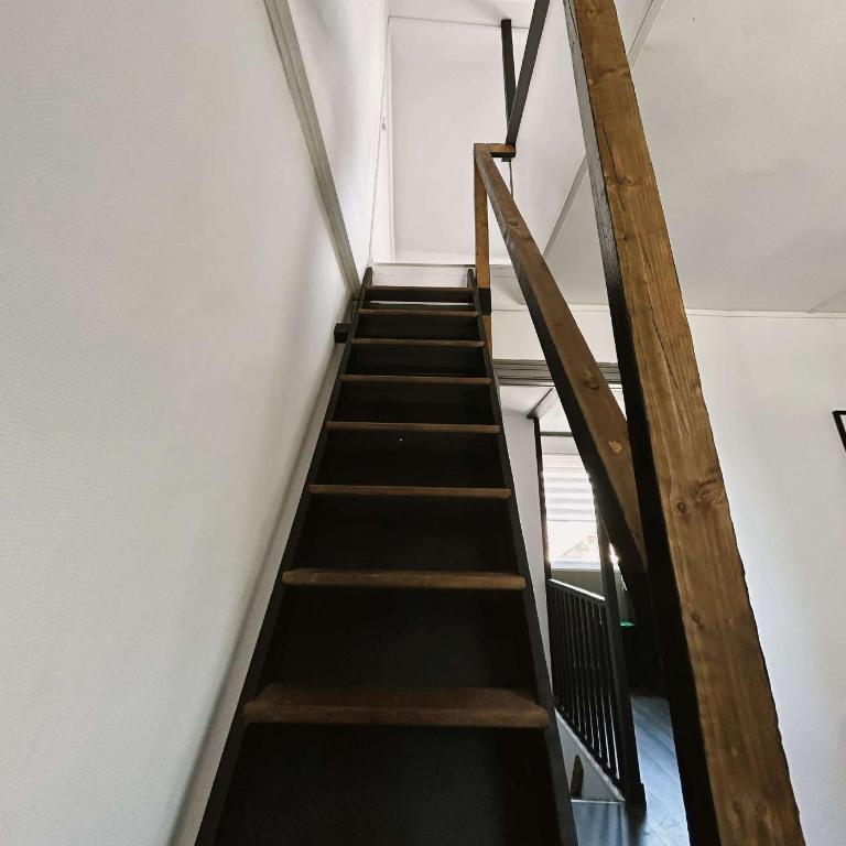 Cosy Dunkerquois - Appartement 1 Chambre - 4