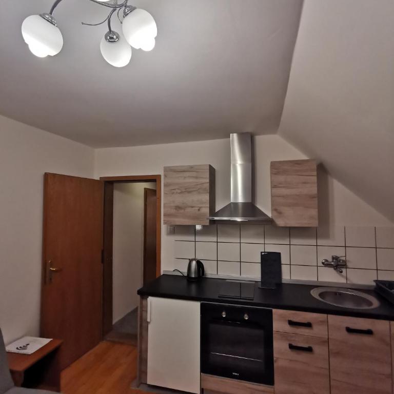 Vila Novaković X - Apartment - 7