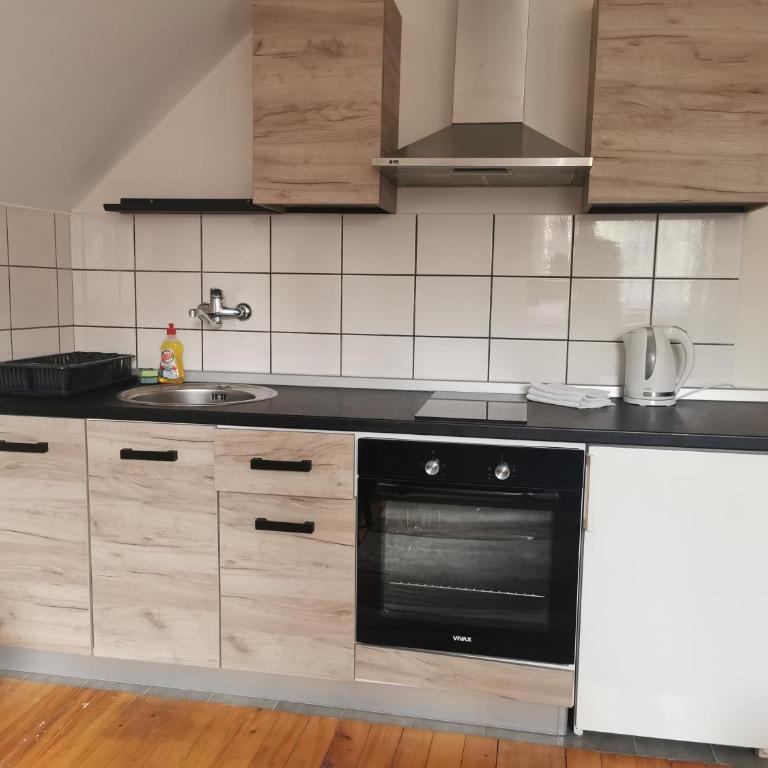 Vila Novaković X - Apartment - 1