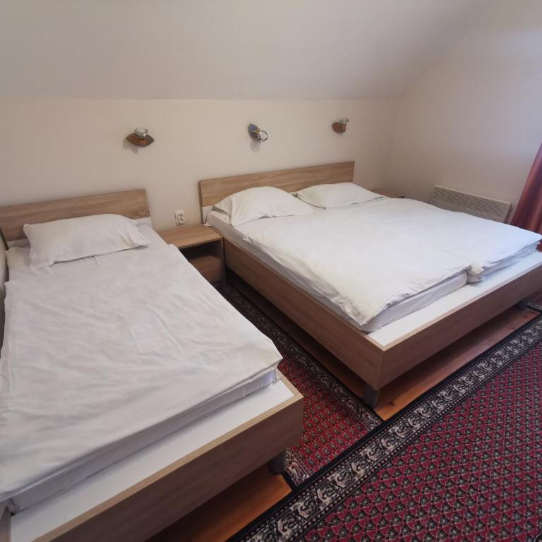 Vila Novaković X - Apartment - 4