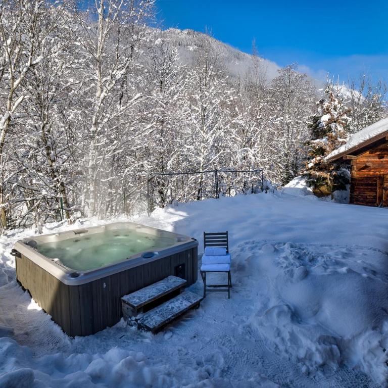 Chalet Amelie - Chalet - 26
