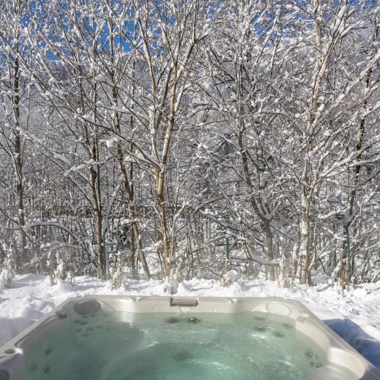 Chalet Amelie - Chalet - 27