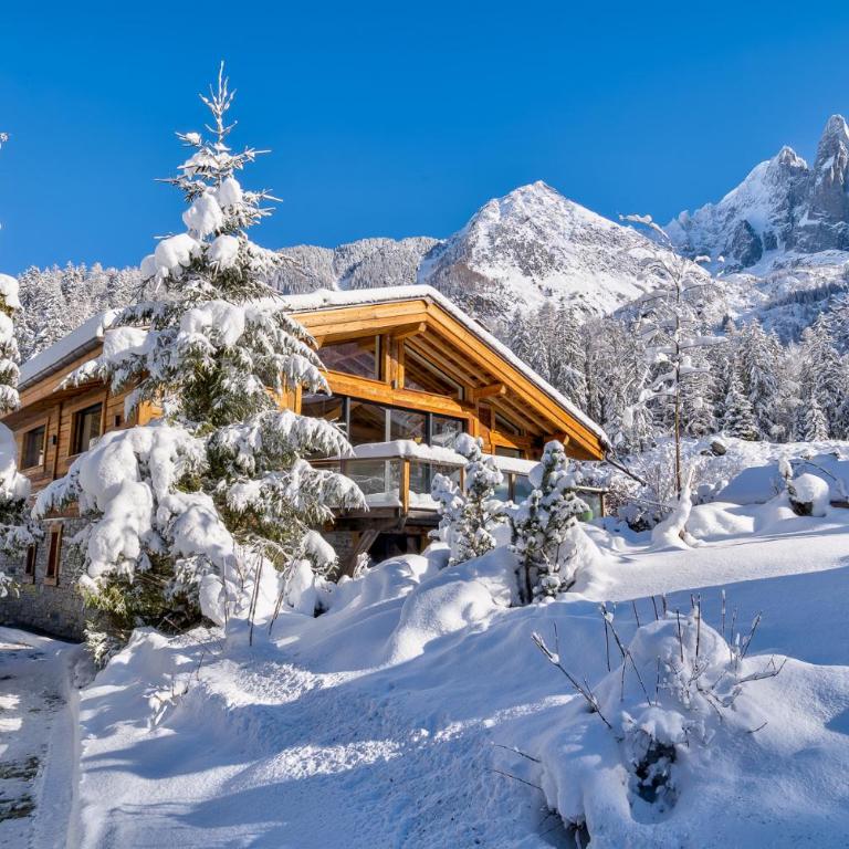 Chalet Black Stone - Chalet - 33