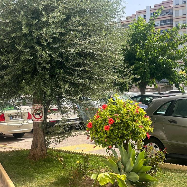Apartamento en primera línea de playa Valdemar 1 - Apartamento de 2 dormitorios - 7