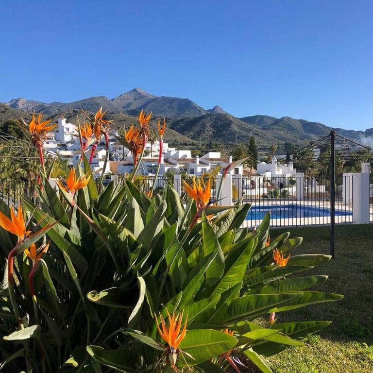 Las Palmas 17B Oasis Properties - Apartment with Sea View - 33