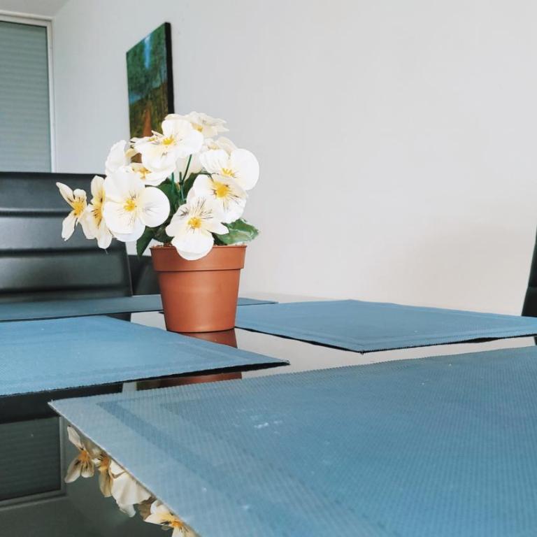 APARTAMENTO en el QUINDÍO cerca al PARQUE DEL CAFÉ - Apartamento de 2 dormitorios - 9