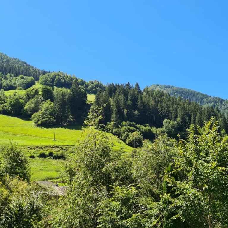 Gasthof Leitner - Der Wirt an der Klamm - Doppelzimmer mit Balkon - 5
