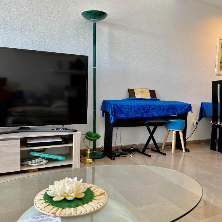 Penthouse Apartment near Puerto Marina - Penthouse Apartment - 10