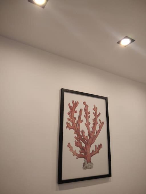 Dimora Cutelli - Appartamento con 1 Camera da Letto - 24