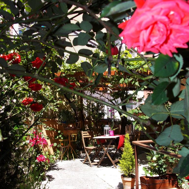 Casa Federico - beauty apartment with wonderful terrace - Appartamento - Piano Terra - 28