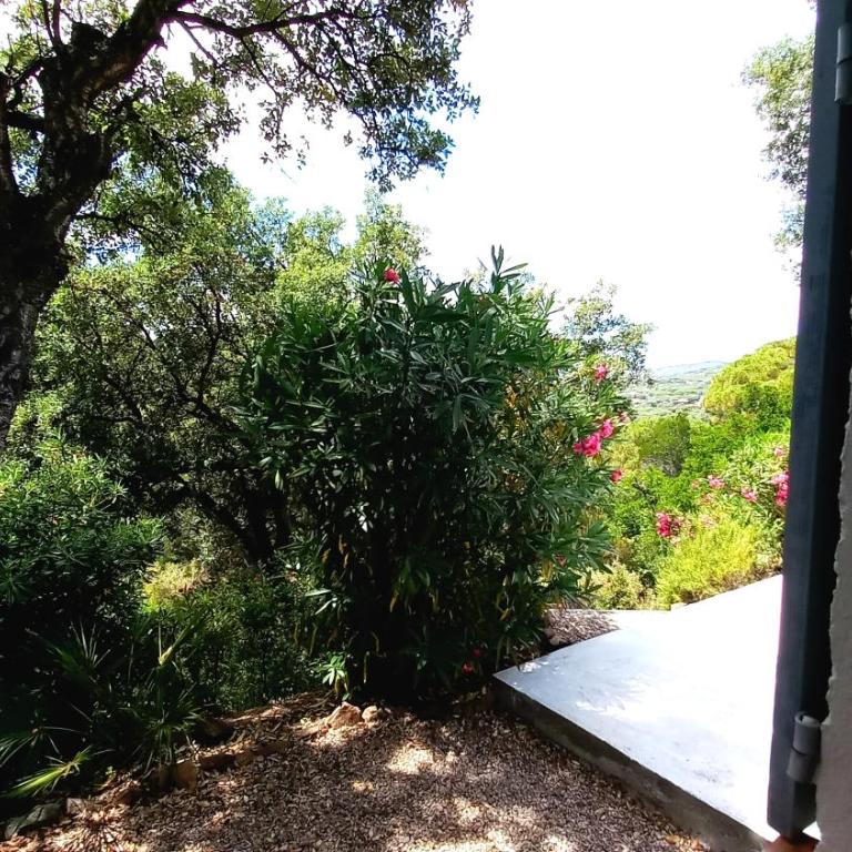 Villa Everblue Sainte-Maxime - Domaine privé - Piscine - Haus mit 2 Schlafzimmern - 53