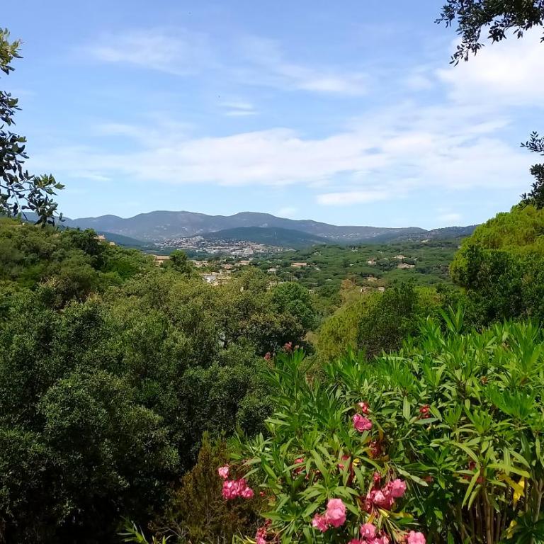 Villa Everblue Sainte-Maxime - Domaine privé - Piscine - Haus mit 2 Schlafzimmern - 50