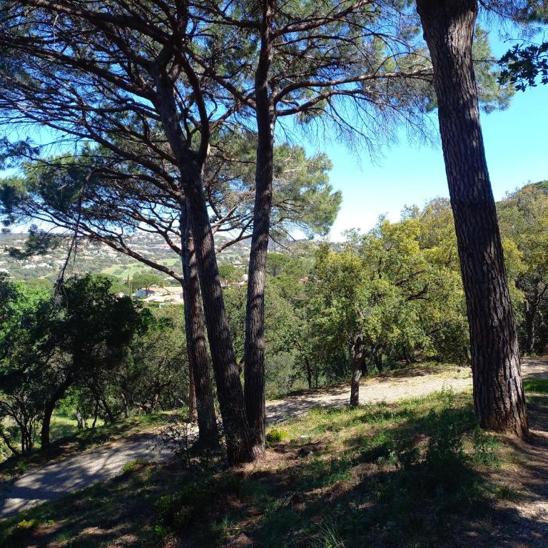 Villa Everblue Sainte-Maxime - Domaine privé - Piscine - Haus mit 2 Schlafzimmern - 72