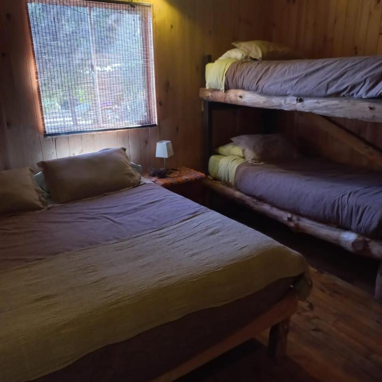 EKILIBRE Surf Eco Hostal - Standard Family Room - 3