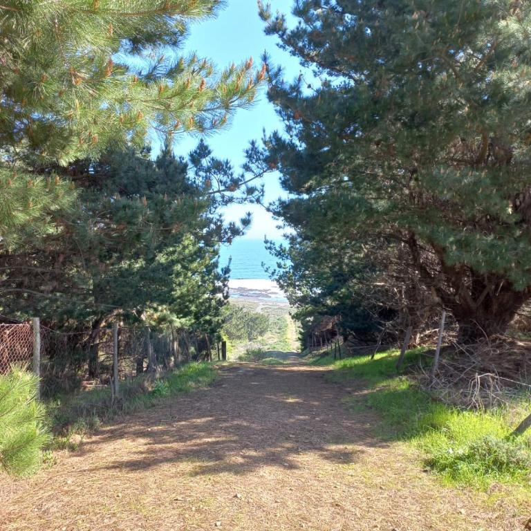 EKILIBRE Surf Eco Hostal - Vacation Home - 15
