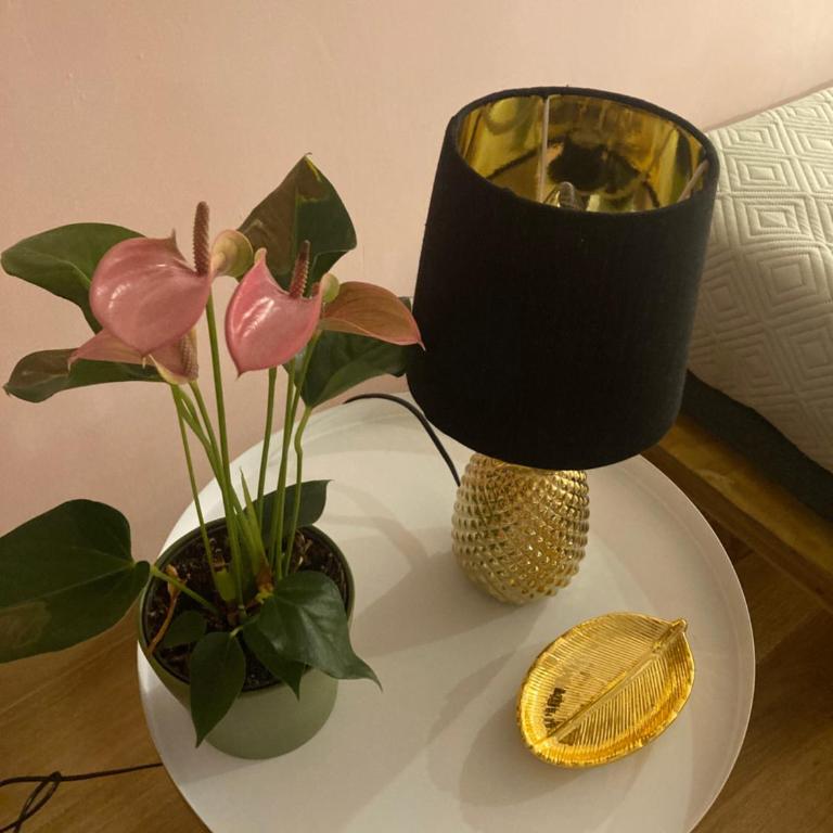 Duomo Suites Florence - Monolocale Deluxe - 1
