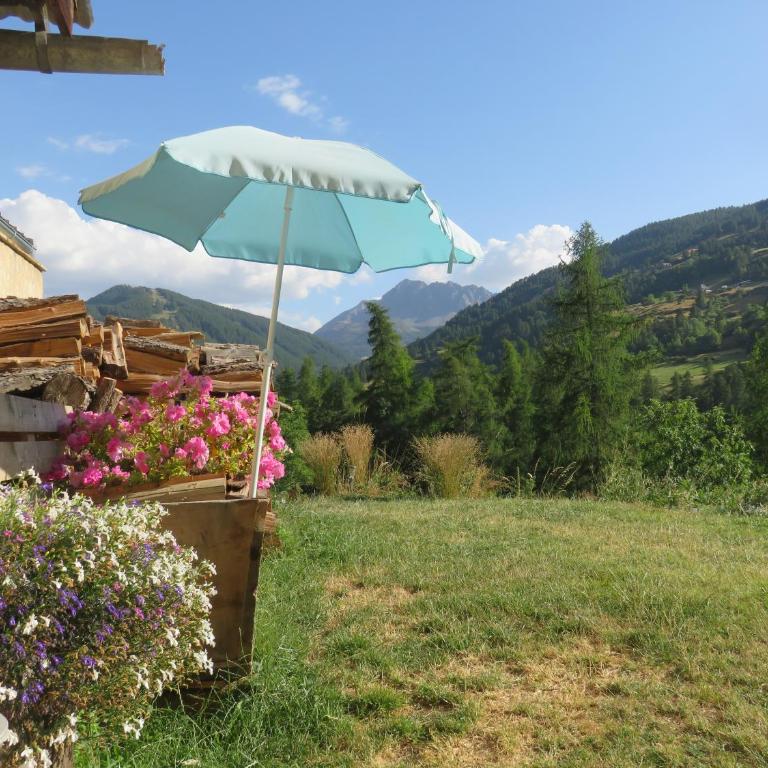 Studio en rez de chaussée, avec jardin partagé. - Apartment mit 1 Schlafzimmer - 32