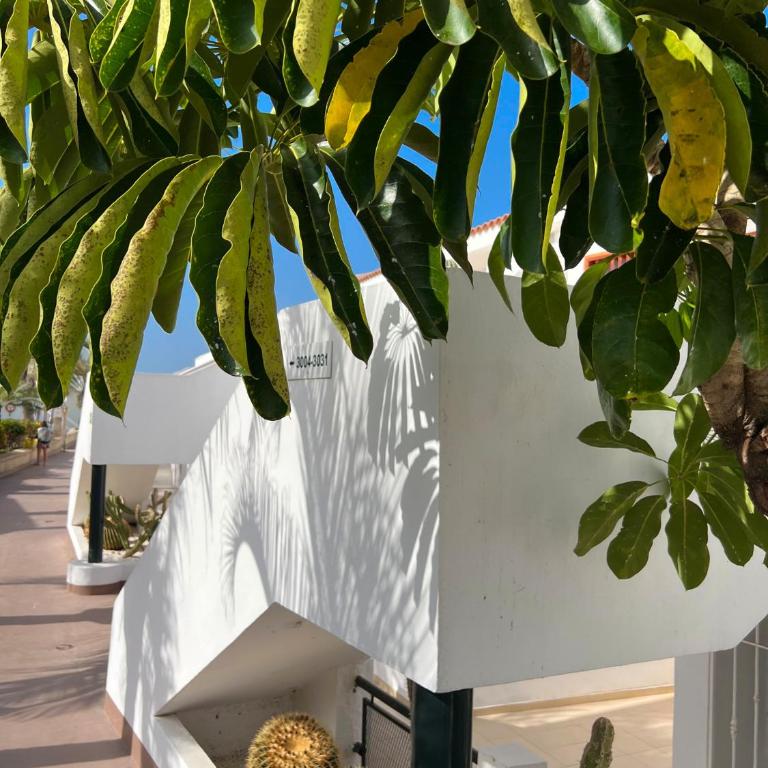 Malibu Ocean Sunset - One-Bedroom Apartment - 2