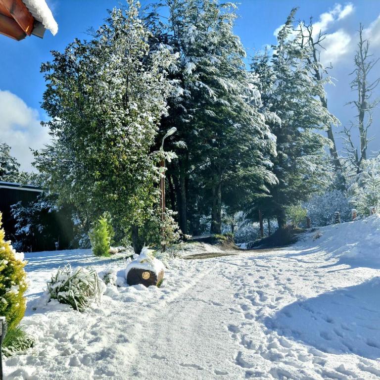 Puerto Esmeralda ESPECTACULAR DEPTO CON VISTA AL LAGO NAHUEL HUAPI - Apartamento con vistas al lago - 26