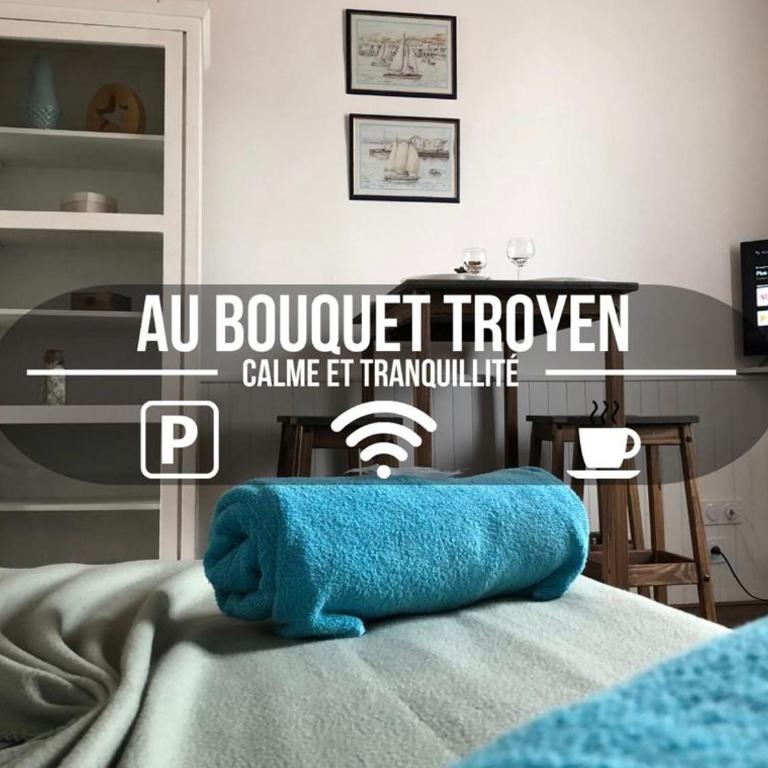 Au Bouquet Troyen - Wifi - Calme et tranquillité - Apartment mit 1 Schlafzimmer - 1