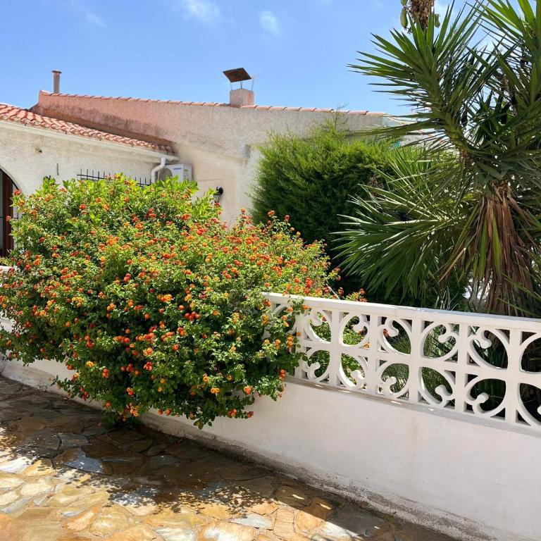 Holiday apartments - Two-Bedroom Apartment - 27