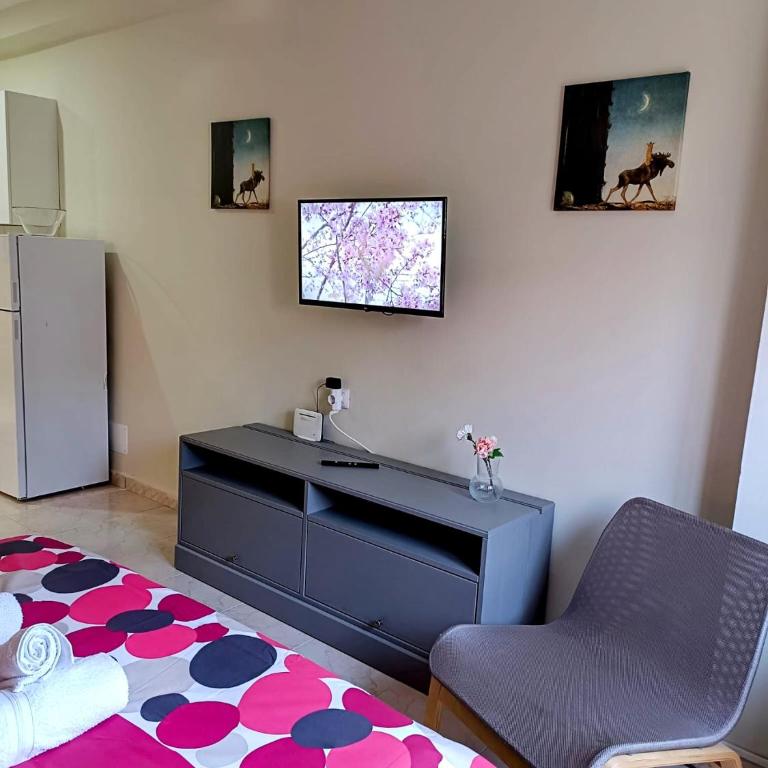 Apartamentos Carrillo 6 - Apartamento de 1 dormitorio - 15
