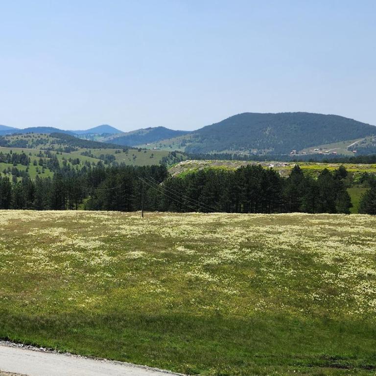 Paraiso Zlatibor - One-Bedroom Apartment - 2