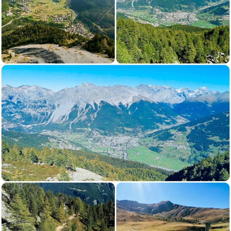 CASA CARCENTINA - fronte seggiovia, sulla pista Stelvio - Appartamento con 1 Camera da Letto - 54