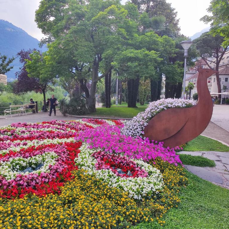 Apartment Alpenflair City Meran - Appartamento - 13