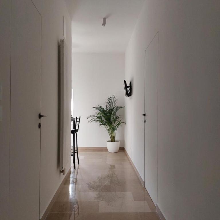 Palazzo Accinni B&B - Camera Deluxe - 12