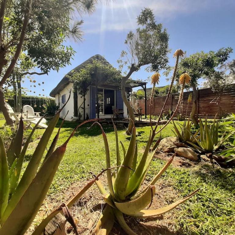 Alai, Exótico bungalow en la playa - Casa con 1 dormitorio - 12