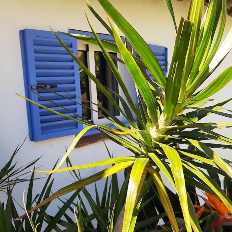 Alai, Exótico bungalow en la playa - Casa con 1 dormitorio - 21