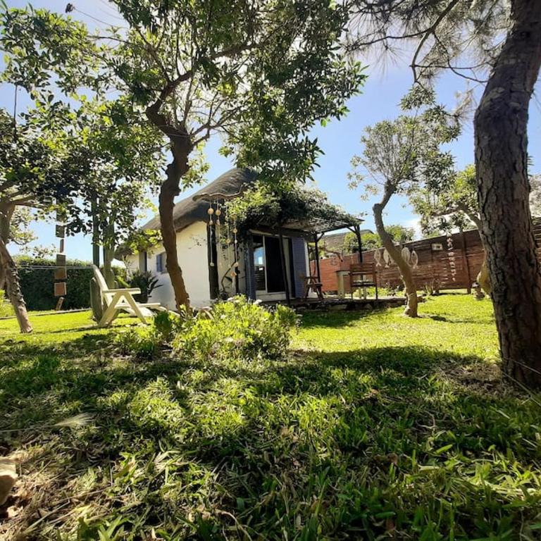 Alai, Exótico bungalow en la playa - Casa con 1 dormitorio - 23