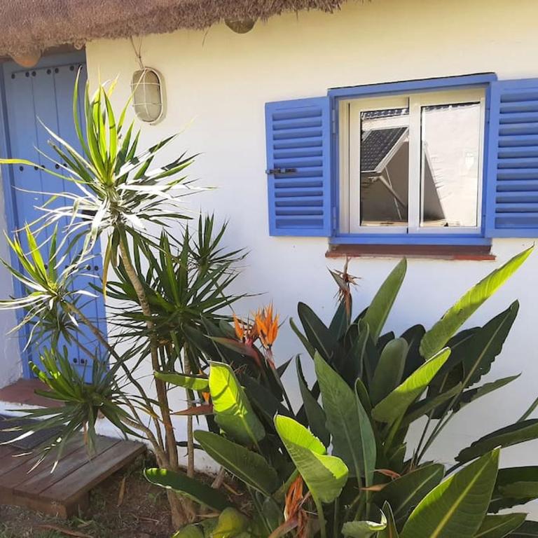 Alai, Exótico bungalow en la playa - Casa con 1 dormitorio - 36