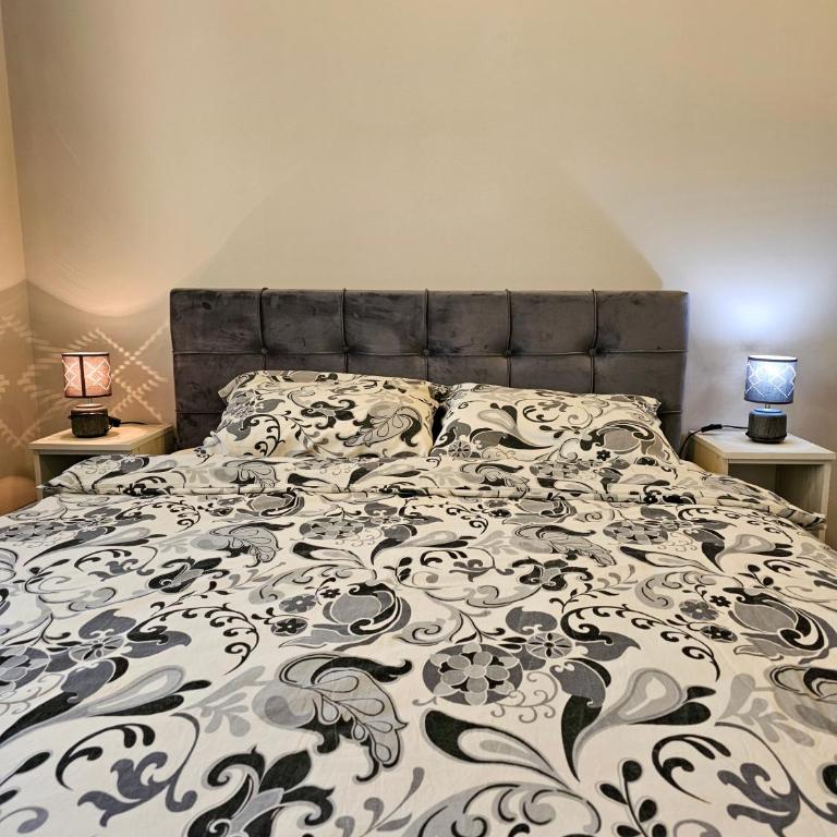 Lux Apartman Lazarević - Apartman sa 1 Spavaćom Sobom - 28