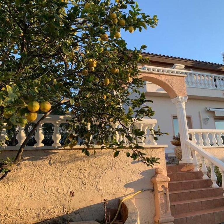 Villa Leo con vistas al mar y piscina privada - Villa - 48